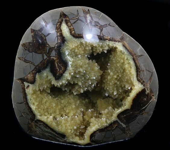 Calcite Crystal Filled Septarian Geode - Utah #37234